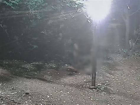 two graves tampered with in khandwa woman body exhumed cctv shows two ...