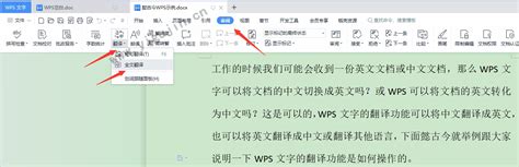 PS中文界面如何切换成英文界面？Adobe Photoshop CC Mac中文版变为英文版完整教程 - Mac下载