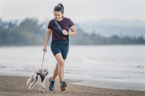 How to Calm a Dog Down - Whole Dog Journal
