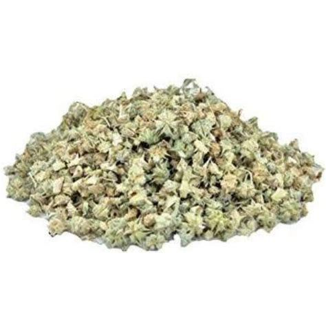 TRH Gokhru Chota - Tribulus Terrestris Seeds - Small Caltrops - Gokhroo ...