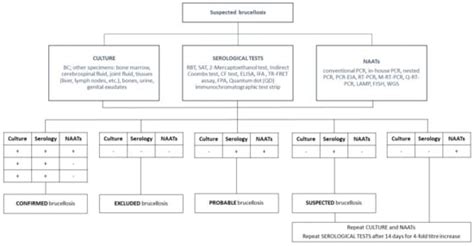 Microbiological Laboratory Diagnosis of Human Brucellosis: An Overview