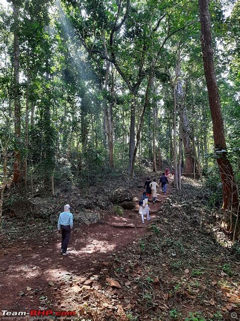 Jungle, Safari, Offroading, Waterfalls and Bonfire: Yes, it is ...