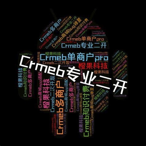 CRMEB单商户pro多商户授权PHP商城源码小程序APP二次开发BUG修复-淘宝网