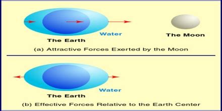 What Is Tidal Force 的图像结果