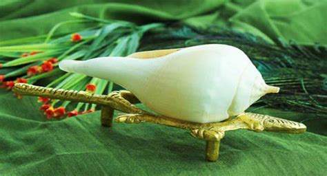 शंख रखने से होता है ये बड़ा फायदा, क्या आप जानते हैं? - conch ...