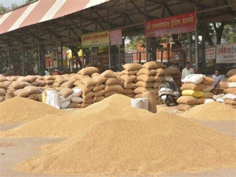 Agriculture - Akola