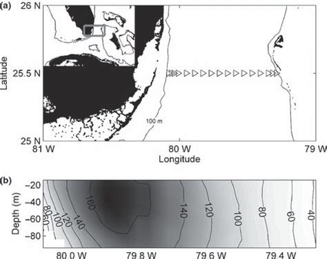 Image result for Transect Sampling