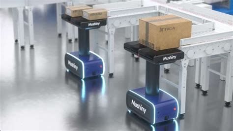 Automated Sorter 的图像结果