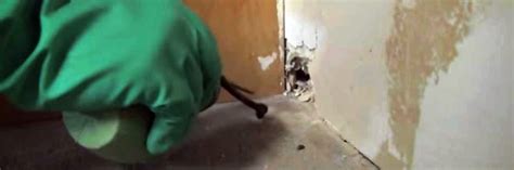 GPS Tracking Powder 的图像结果