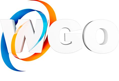 What Does Wgo Mean In Texting