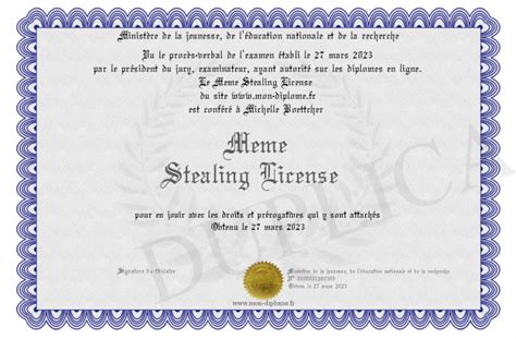 Meme-Stealing-License