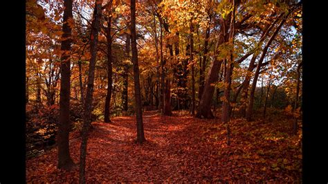 How to Cope with Seasonal Affective Disorder - Unified Caring Association