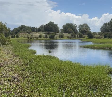 Undeveloped Land 的图像结果