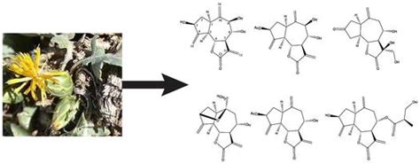 Image result for A Search Algorithm in AI Code