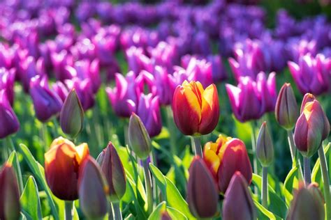 Human Resource Outsourcing for the Hospitality and F&B Sectors ...