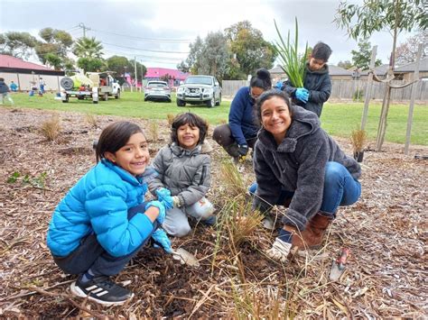 Volunteering 的图像结果