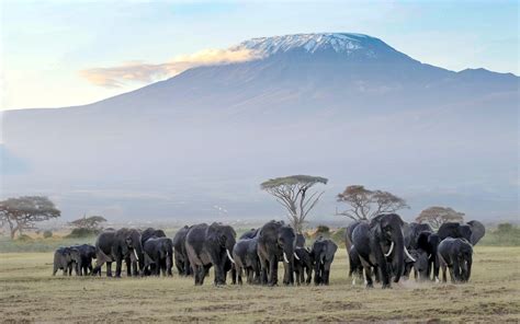 5 Things to Do at Amboseli National Park - Kenya Geographic