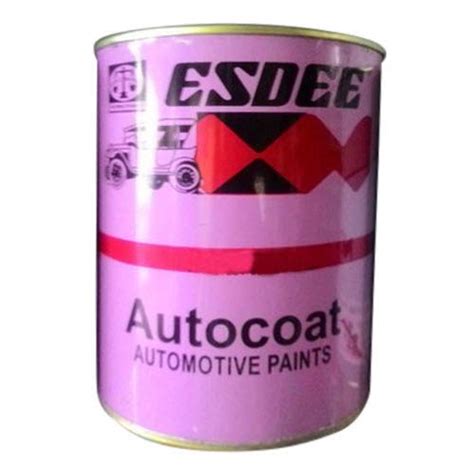 ESDEE Autocoat/Automotive Paint (Grey, Medium) : Amazon.in: Car & Motorbike