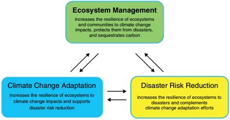 A Review: Nature-Based Solutions[v1] | Preprints.org