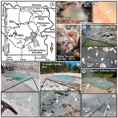 Productivity and Community Composition of Low Biomass/High Silica ...