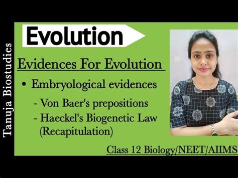 BioGenetic 的图像结果