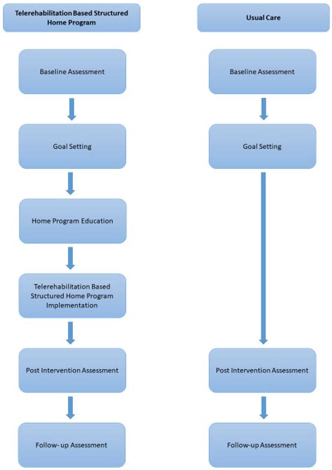 Effects of Telerehabilitation-Based Structured Home Program on Activity ...