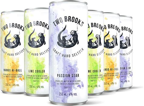Two Brooks Hard Seltzer Variety Pack 12 Pack X 250ml | Desertcart INDIA