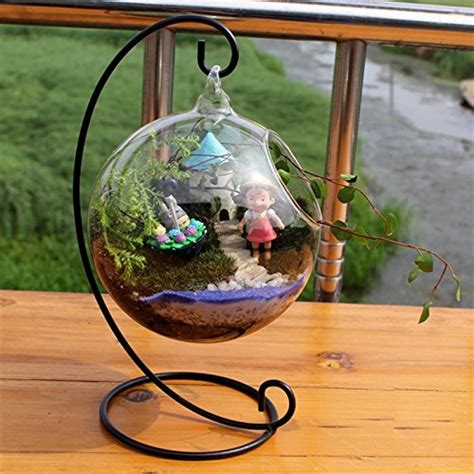 Buy Leoie Creative Clear Glass Ball Vase Micro Landscape Air Plant ...