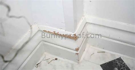 Image result for Stop Baseboard Hum