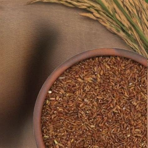 Raktashali Rice – Food Care INDIA