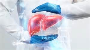 Two common drugs could reverse fatty liver disease | ScienceDaily