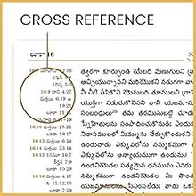 Lifeway Telugu Study Bible, Brown PU Leather Touch Study Bible with QR ...