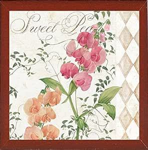 Frame USA Sweet Pea Framed Print 26"x26" by Color Bakery-COLBAK110180 ...