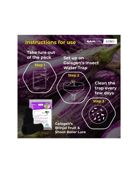 Buy Brinjal Fruit & Shoot Borer| Lure & Insect Water Trap | BigHaat