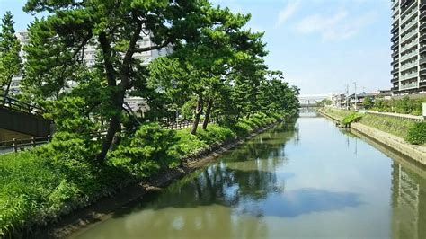 WORLD YANAGISHIMA HOTEL (Soka) - Lodge Reviews & Photos - Tripadvisor