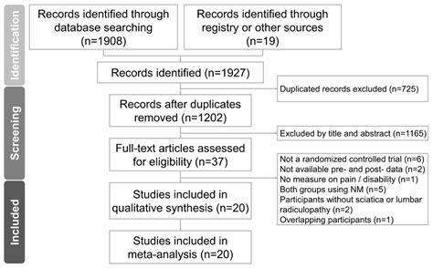 Neural Mobilization for Reducing Pain and Disability in Patients with ...