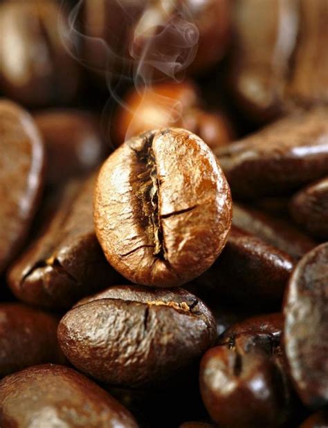 【咖啡选购指南】咖啡豆的品种介绍 - 知乎