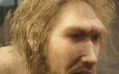 நம்மைப் போலவே இந்த பூமியில் வாழ்ந்த நியாண்டர்தால்கள் என்ன ஆனார்கள் ...