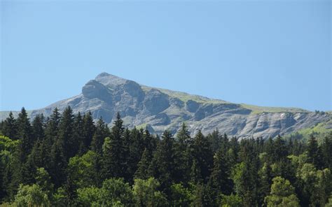 Download wallpaper 1920x1200 mountain, peak, forest, trees widescreen ...