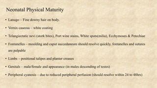 Image result for JavaScript Library jQuery