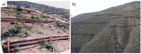 Post-Fire Restoration Plan for Sustainable Forest Management in South Korea