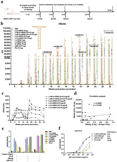 A Multivalent mRNA Therapeutic Vaccine Exhibits Breakthroughs in Immune ...