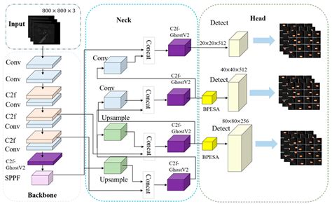Physics-Prior-Guided Deep Learning for High-Precision Marker ...