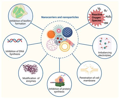 Antimicrobial Activity Enhancers: Towards Smart Delivery of ...