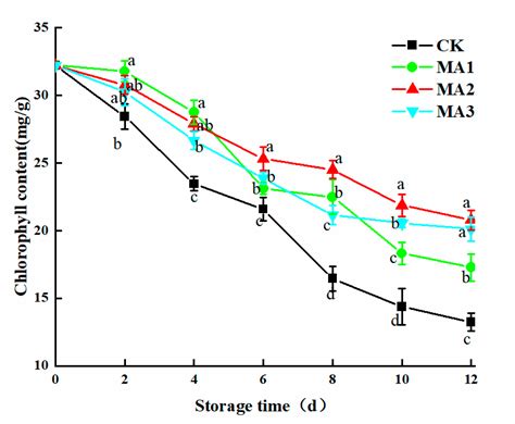 Modified Atmospheric Packaging of Fresh-Cut Amaranth (Amaranthus ...