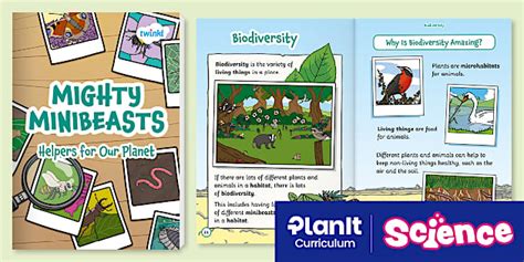 Science: Biodiversity - Minibeasts: Mighty Minibeasts eBook Year 2