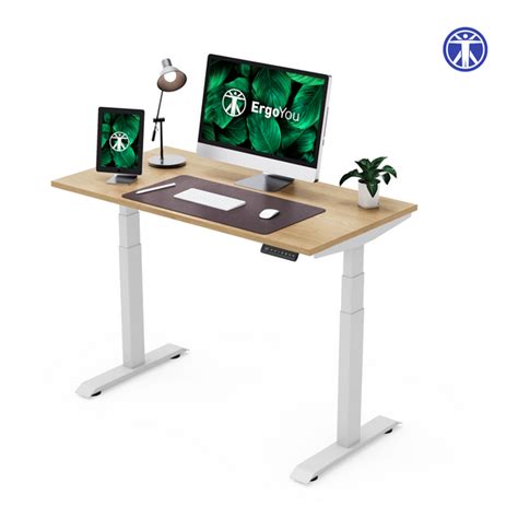 Dual Motor | Premium Height-Adjustable Standing Desk (3 Stage) with Ta ...