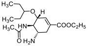 The First 5′-Phosphorylated 1,2,3-Triazolyl Nucleoside Analogues with ...