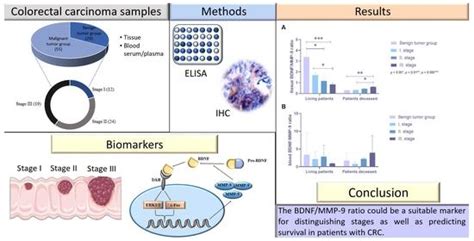 Stage-Dependent Levels of Brain-Derived Neurotrophic Factor and Matrix ...