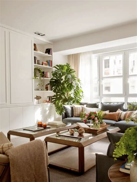 Maite Pérez, experta en Feng Shui: "Una monstera en la entrada o una ...